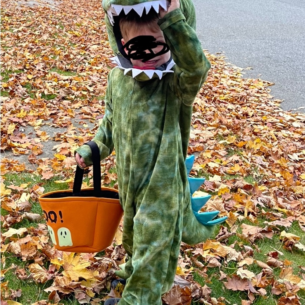 Pottery Barn Kids Green and Blue Dinosaur Costume